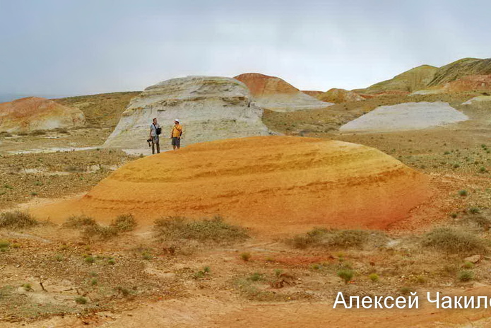 Сегодня стартует ЕНТ